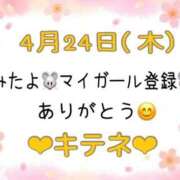 ヒメ日記 2025/04/25 10:01 投稿 はる なでしこ(十三)