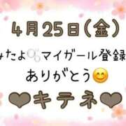 ヒメ日記 2025/04/26 10:03 投稿 はる なでしこ(十三)