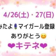 ヒメ日記 2025/04/28 10:03 投稿 はる なでしこ(十三)