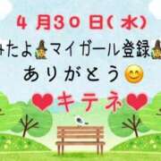 ヒメ日記 2025/05/01 10:02 投稿 はる なでしこ(十三)