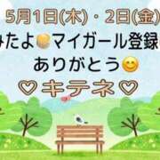 ヒメ日記 2025/05/03 10:02 投稿 はる なでしこ(十三)