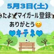 ヒメ日記 2025/05/04 10:02 投稿 はる なでしこ(十三)