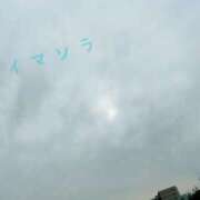 ヒメ日記 2025/05/09 07:30 投稿 はる なでしこ(十三)