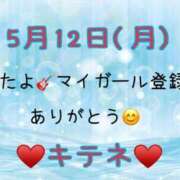 ヒメ日記 2025/05/13 10:01 投稿 はる なでしこ(十三)
