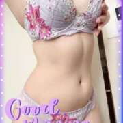 ヒメ日記 2025/05/21 08:45 投稿 はる なでしこ(十三)