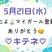 ヒメ日記 2025/05/22 10:01 投稿 はる なでしこ(十三)