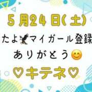 ヒメ日記 2025/05/25 10:02 投稿 はる なでしこ(十三)