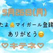 ヒメ日記 2025/05/27 10:01 投稿 はる なでしこ(十三)