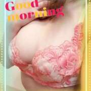 ヒメ日記 2025/06/01 08:45 投稿 はる なでしこ(十三)