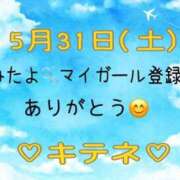 ヒメ日記 2025/06/01 10:01 投稿 はる なでしこ(十三)