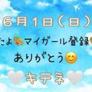 ヒメ日記 2025/06/02 10:01 投稿 はる なでしこ(十三)
