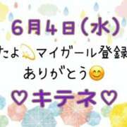 ヒメ日記 2025/06/05 10:01 投稿 はる なでしこ(十三)