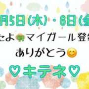 ヒメ日記 2025/06/07 10:01 投稿 はる なでしこ(十三)