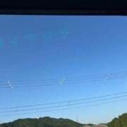 ヒメ日記 2025/06/19 07:15 投稿 はる なでしこ(十三)