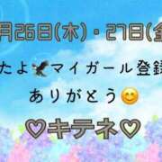 ヒメ日記 2025/06/28 10:02 投稿 はる なでしこ(十三)