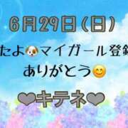ヒメ日記 2025/06/30 10:01 投稿 はる なでしこ(十三)