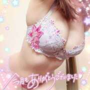 ヒメ日記 2025/06/30 21:45 投稿 はる なでしこ(十三)