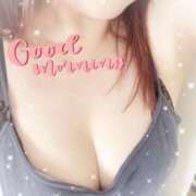 ヒメ日記 2025/07/24 09:06 投稿 はる なでしこ(十三)