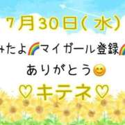 ヒメ日記 2025/07/31 10:02 投稿 はる なでしこ(十三)