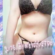 ヒメ日記 2025/08/08 18:45 投稿 はる なでしこ(十三)