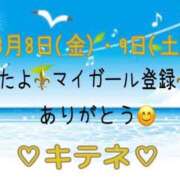 ヒメ日記 2025/08/10 10:02 投稿 はる なでしこ(十三)