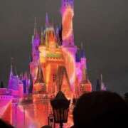 ヒメ日記 2025/08/24 12:45 投稿 はる なでしこ(十三)