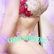 ヒメ日記 2025/08/26 08:45 投稿 はる なでしこ(十三)