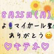 ヒメ日記 2025/08/26 10:01 投稿 はる なでしこ(十三)