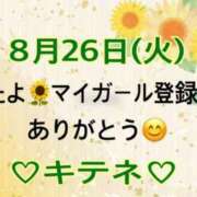 ヒメ日記 2025/08/27 10:01 投稿 はる なでしこ(十三)