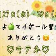 ヒメ日記 2025/08/29 10:01 投稿 はる なでしこ(十三)