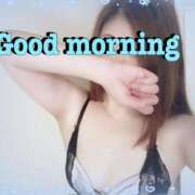 ヒメ日記 2025/08/30 08:45 投稿 はる なでしこ(十三)