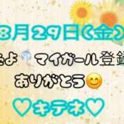 ヒメ日記 2025/08/30 10:02 投稿 はる なでしこ(十三)