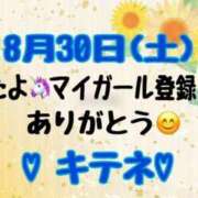 ヒメ日記 2025/08/31 10:02 投稿 はる なでしこ(十三)
