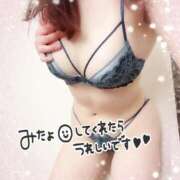 ヒメ日記 2025/08/31 17:30 投稿 はる なでしこ(十三)