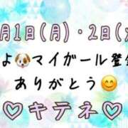 ヒメ日記 2025/09/03 10:01 投稿 はる なでしこ(十三)