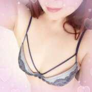 ヒメ日記 2025/09/13 13:15 投稿 はる なでしこ(十三)