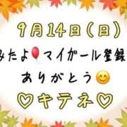ヒメ日記 2025/09/15 10:02 投稿 はる なでしこ(十三)