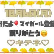 ヒメ日記 2025/10/07 10:02 投稿 はる なでしこ(十三)