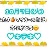 ヒメ日記 2025/10/08 10:01 投稿 はる なでしこ(十三)