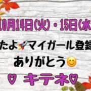 ヒメ日記 2025/10/16 10:01 投稿 はる なでしこ(十三)