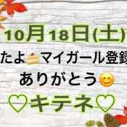 ヒメ日記 2025/10/19 10:01 投稿 はる なでしこ(十三)