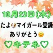 ヒメ日記 2025/10/24 10:02 投稿 はる なでしこ(十三)