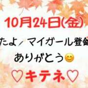 ヒメ日記 2025/10/25 10:02 投稿 はる なでしこ(十三)