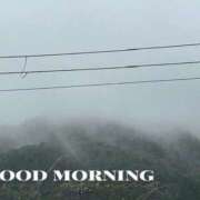 ヒメ日記 2025/10/26 08:54 投稿 はる なでしこ(十三)