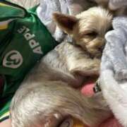 ヒメ日記 2025/10/26 22:31 投稿 はる なでしこ(十三)