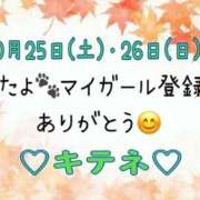 ヒメ日記 2025/10/27 10:01 投稿 はる なでしこ(十三)