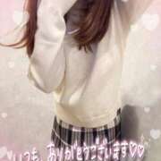 ヒメ日記 2025/10/30 17:15 投稿 はる なでしこ(十三)