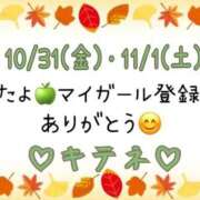 ヒメ日記 2025/11/02 10:02 投稿 はる なでしこ(十三)