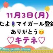 ヒメ日記 2025/11/04 10:01 投稿 はる なでしこ(十三)