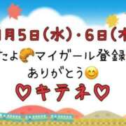 ヒメ日記 2025/11/07 10:01 投稿 はる なでしこ(十三)